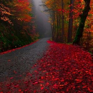 Meet your Posher, Gail